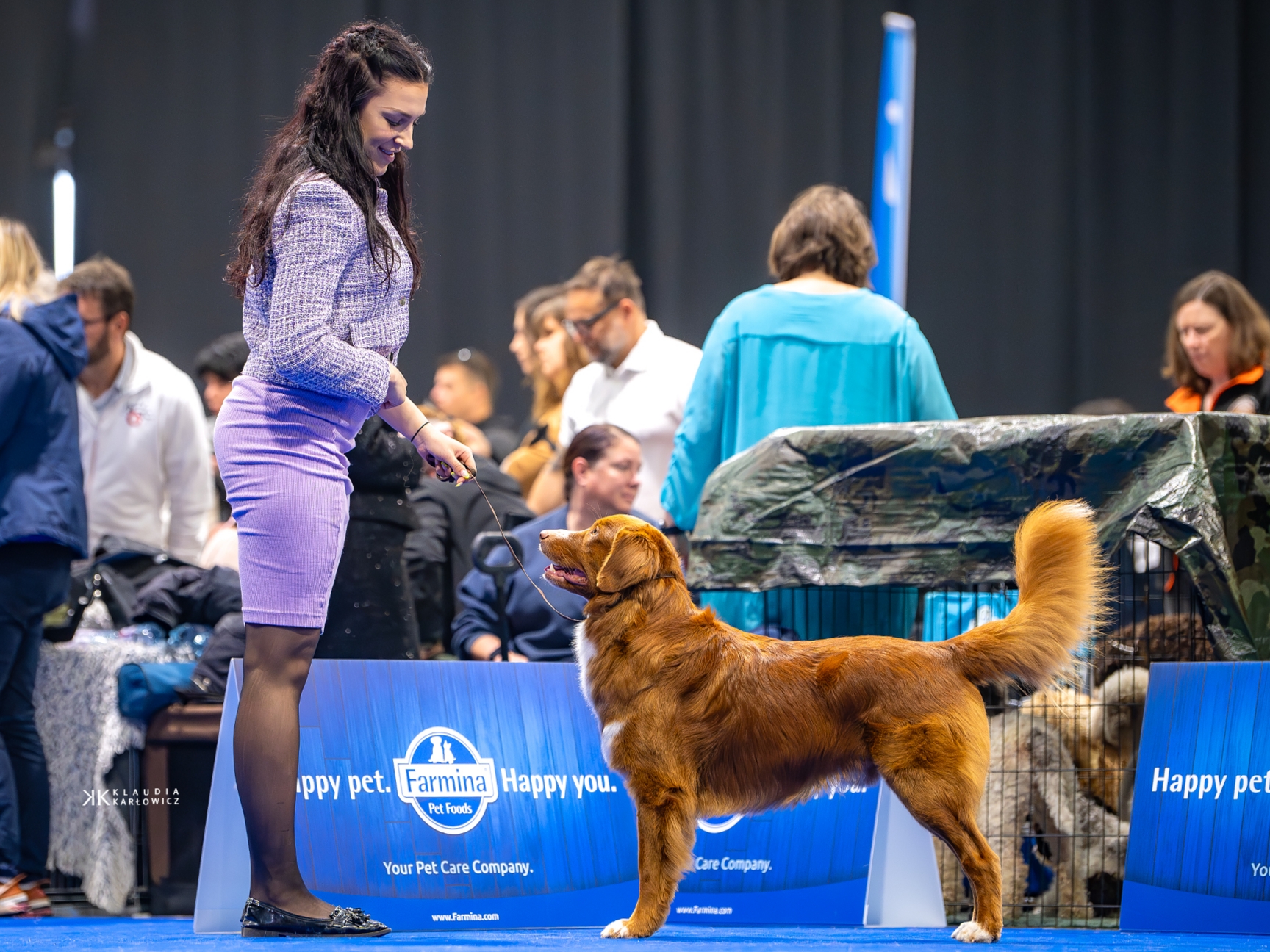 Travelda´s Kenzo ve výstavním postoji – vynikající typ, harmonická stavba těla a elegantní pohyb.